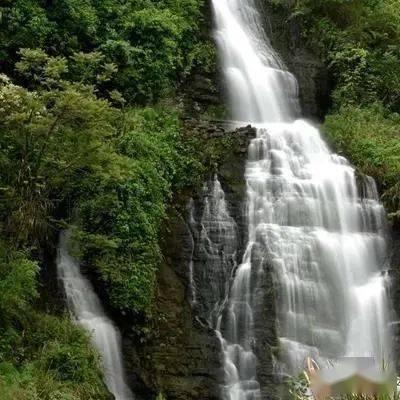远离肠癌 早诊早治防治结合